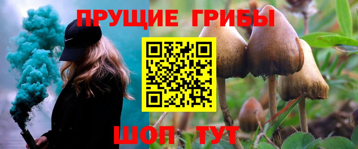 Псилоцибиновые грибы прущие грибы  Вход с VPN  Первоуральск 