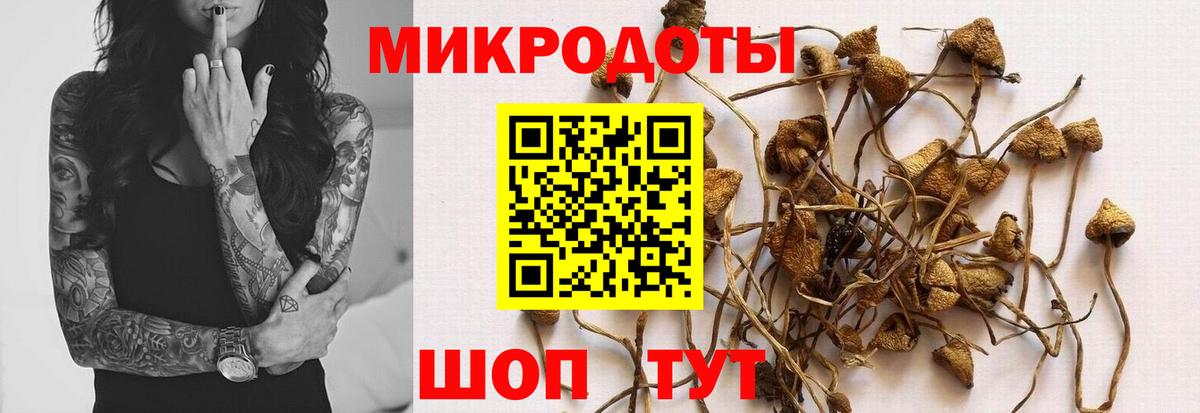Псилоцибиновые грибы GOLDEN TEACHER Первоуральск